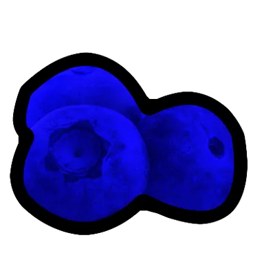 Blueberry – FruitSkin