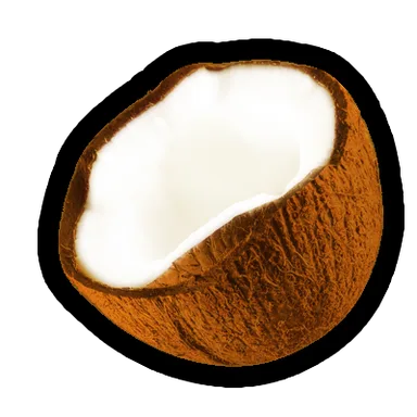 Coconut – FruitSkin