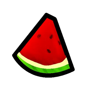 Melon – FruitSkin
