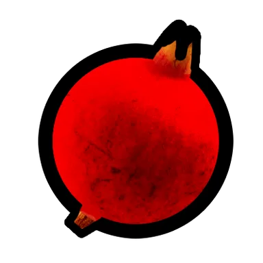 Pomegranate – FruitSkin