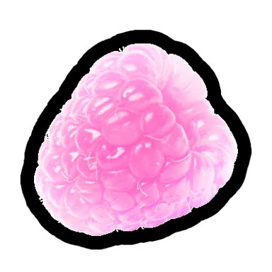 Raspberry – FruitSkin