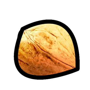Walnut – FruitSkin