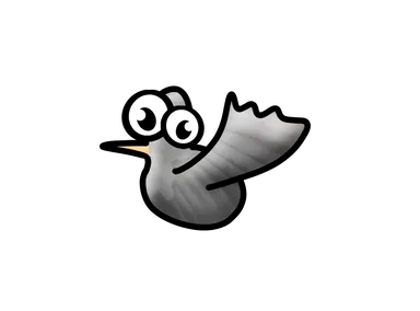 Duif – Aap